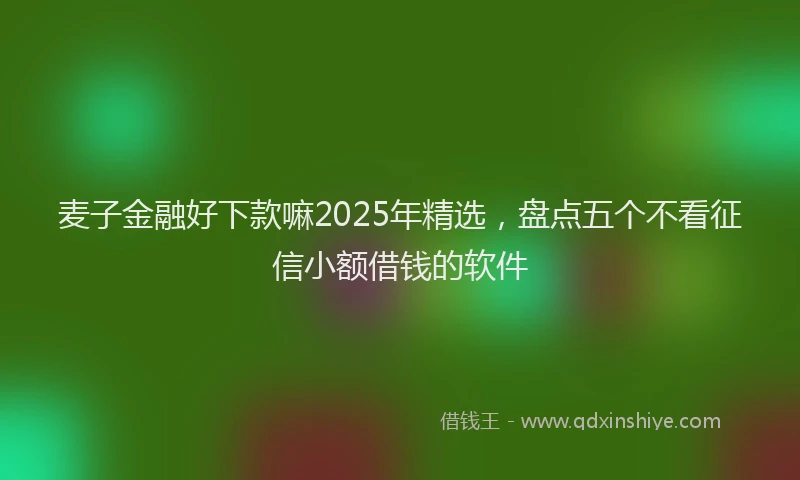 麦子金融好下款嘛2025年精选，盘点五个不看征信小额借钱的软件