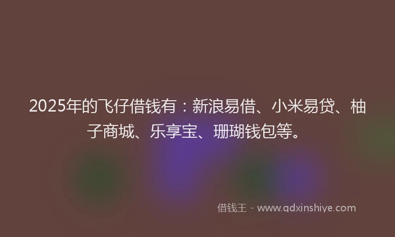 2025年的飞仔借钱有：新浪易借、小米易贷、柚子商城、乐享宝、珊瑚钱包等。