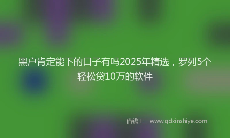 黑户肯定能下的口子有吗2025年精选，罗列5个轻松贷10万的软件