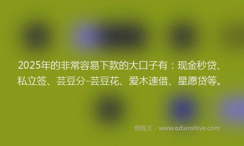 2025年的非常容易下款的大口子有：现金秒贷、私立签、芸豆分-芸豆花、爱木速借、星愿贷等。