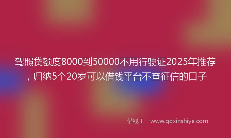 驾照贷额度8000到50000不用行驶证2025年推荐，归纳5个20岁可以借钱平台不查征信的口子