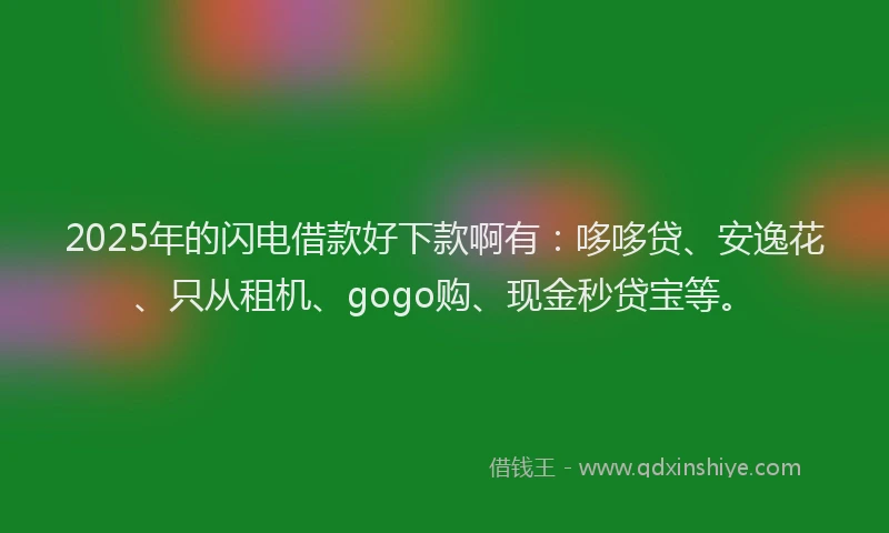 2025年的闪电借款好下款啊有：哆哆贷、安逸花、只从租机、gogo购、现金秒贷宝等。