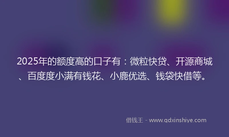 2025年的额度高的口子有：微粒快贷、开源商城、百度度小满有钱花、小鹿优选、钱袋快借等。