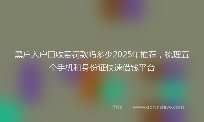 黑户入户口收费罚款吗多少2025年推荐，梳理五个手机和身份证快速借钱平台
