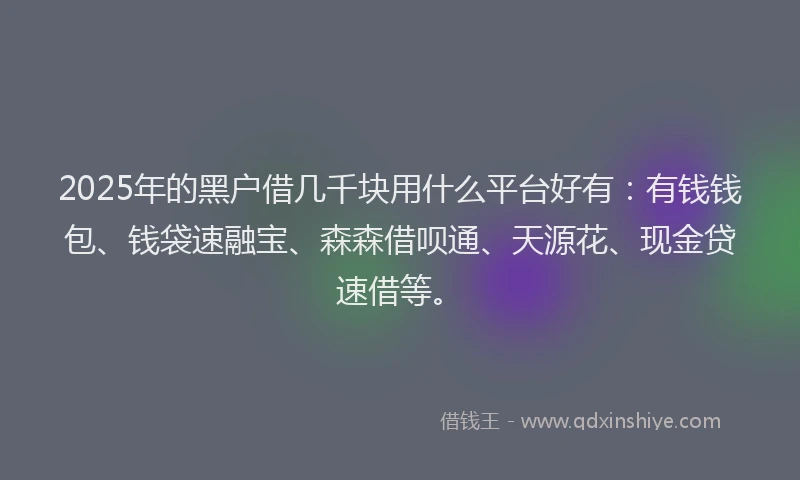 2025年的黑户借几千块用什么平台好有：有钱钱包、钱袋速融宝、森森借呗通、天源花、现金贷速借等。