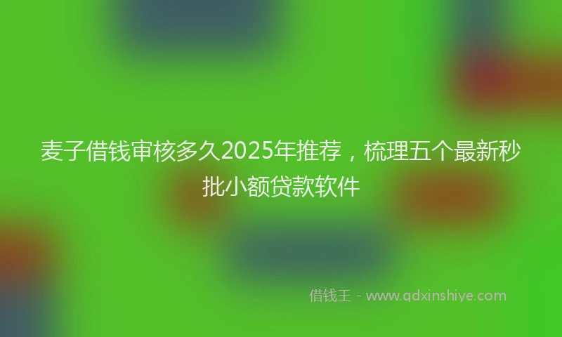 麦子借钱审核多久2025年推荐，梳理五个最新秒批小额贷款软件