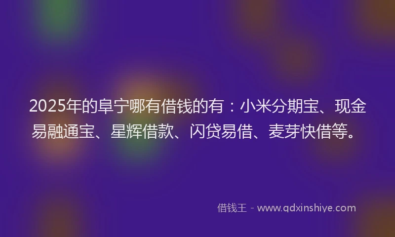 2025年的阜宁哪有借钱的有：小米分期宝、现金易融通宝、星辉借款、闪贷易借、麦芽快借等。