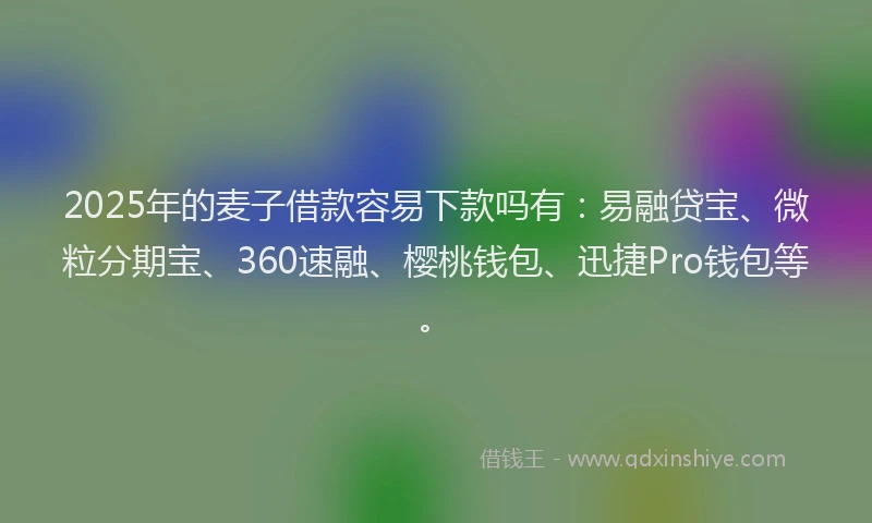 2025年的麦子借款容易下款吗有：易融贷宝、微粒分期宝、360速融、樱桃钱包、迅捷Pro钱包等。