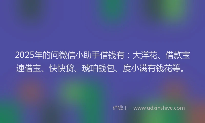 2025年的问微信小助手借钱有：大洋花、借款宝速借宝、快快贷、琥珀钱包、度小满有钱花等。