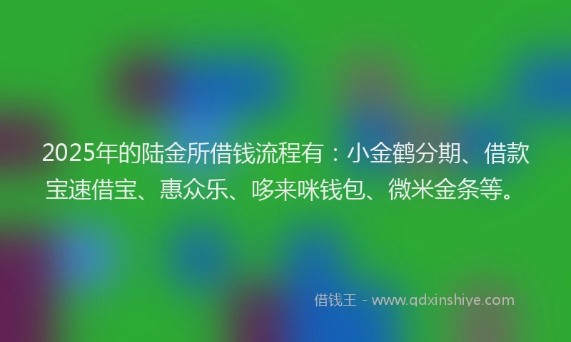 2025年的陆金所借钱流程有：小金鹤分期、借款宝速借宝、惠众乐、哆来咪钱包、微米金条等。
