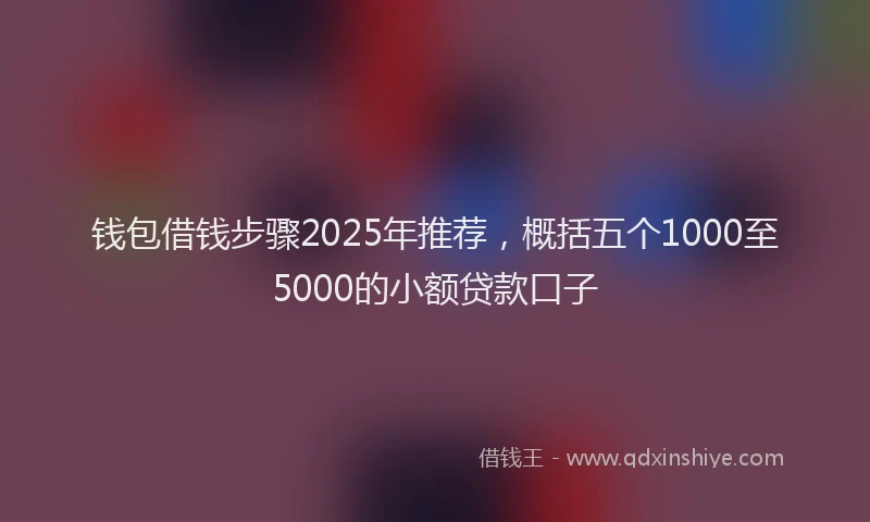 钱包借钱步骤2025年推荐，概括五个1000至5000的小额贷款口子