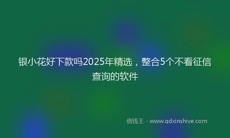 银小花好下款吗2025年精选，整合5个不看征信查询的软件