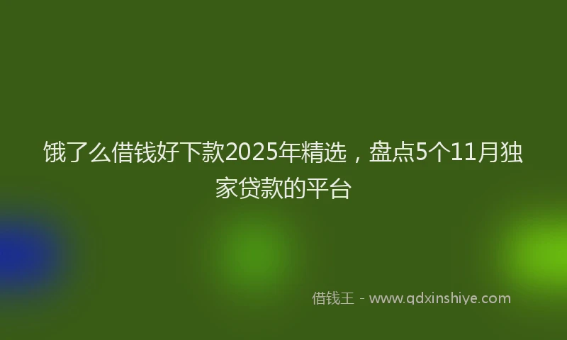 饿了么借钱好下款2025年精选，盘点5个11月独家贷款的平台