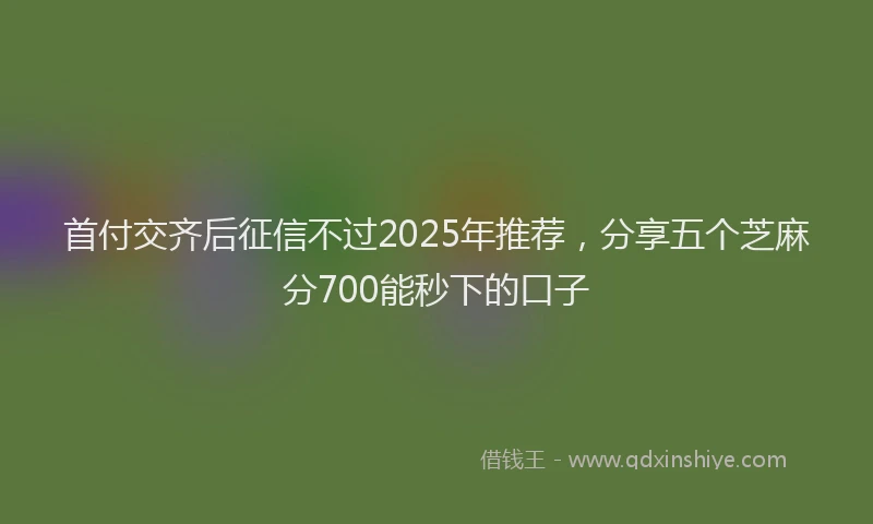 首付交齐后征信不过2025年推荐，分享五个芝麻分700能秒下的口子