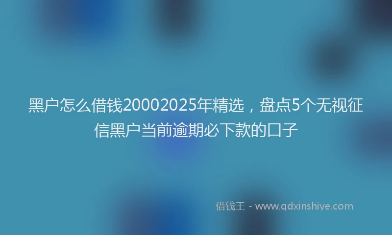 黑户怎么借钱20002025年精选，盘点5个无视征信黑户当前逾期必下款的口子