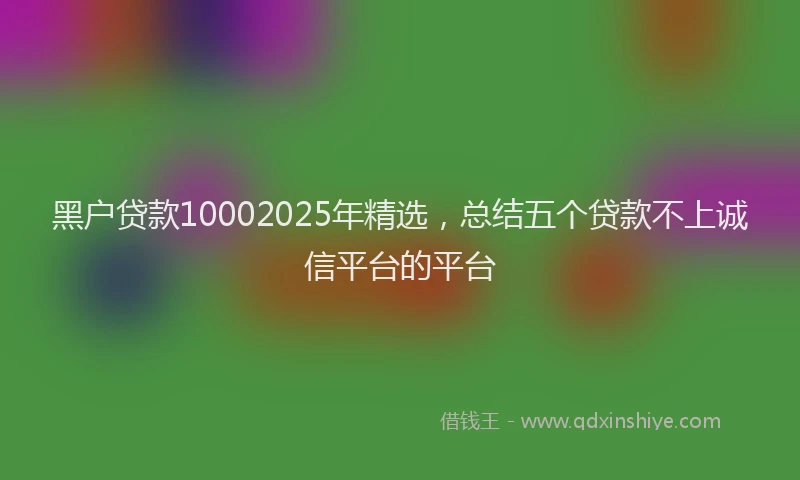 黑户贷款10002025年精选，总结五个贷款不上诚信平台的平台