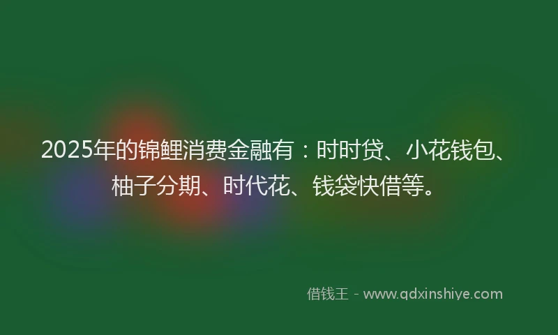 2025年的锦鲤消费金融有：时时贷、小花钱包、柚子分期、时代花、钱袋快借等。
