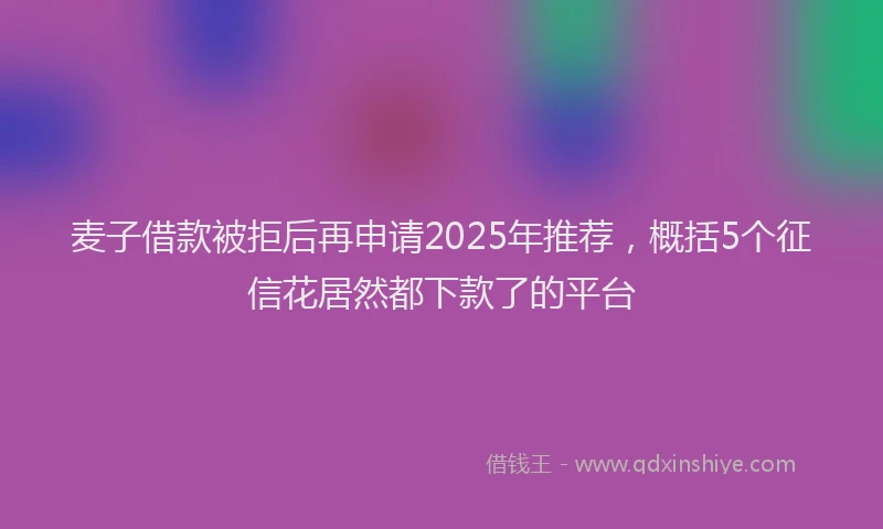 麦子借款被拒后再申请2025年推荐，概括5个征信花居然都下款了的平台