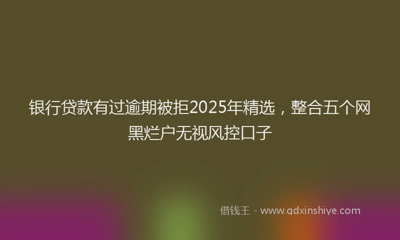 银行贷款有过逾期被拒2025年精选，整合五个网黑烂户无视风控口子