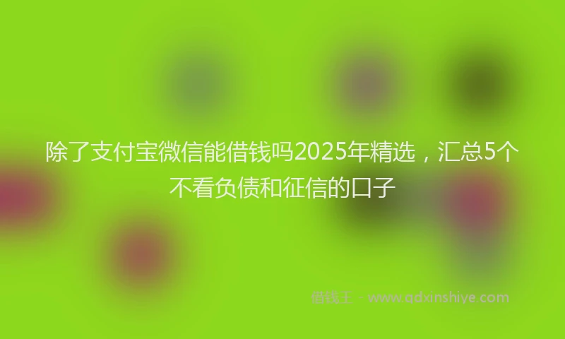 除了支付宝微信能借钱吗2025年精选，汇总5个不看负债和征信的口子