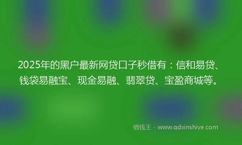 2025年的黑户最新网贷口子秒借有：信和易贷、钱袋易融宝、现金易融、翡翠贷、宝盈商城等。