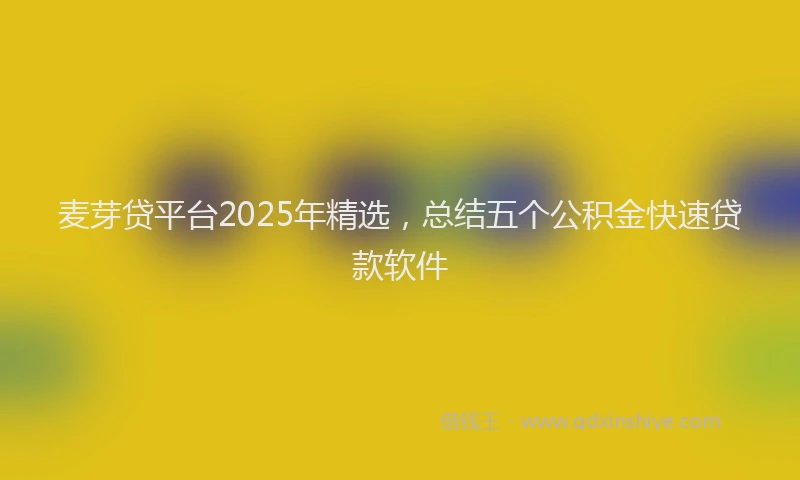 麦芽贷平台2025年精选，总结五个公积金快速贷款软件