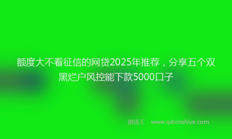 额度大不看征信的网贷2025年推荐，分享五个双黑烂户风控能下款5000口子