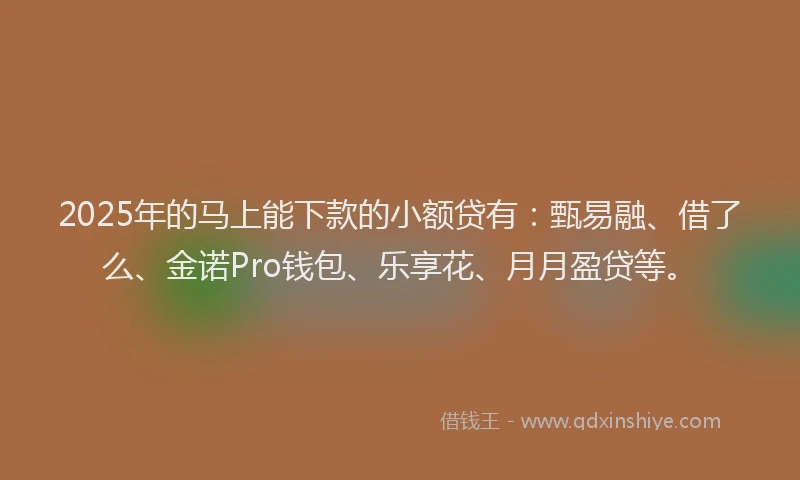 2025年的马上能下款的小额贷有：甄易融、借了么、金诺Pro钱包、乐享花、月月盈贷等。
