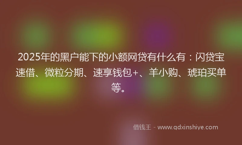 2025年的黑户能下的小额网贷有什么有：闪贷宝速借、微粒分期、速享钱包+、羊小购、琥珀买单等。