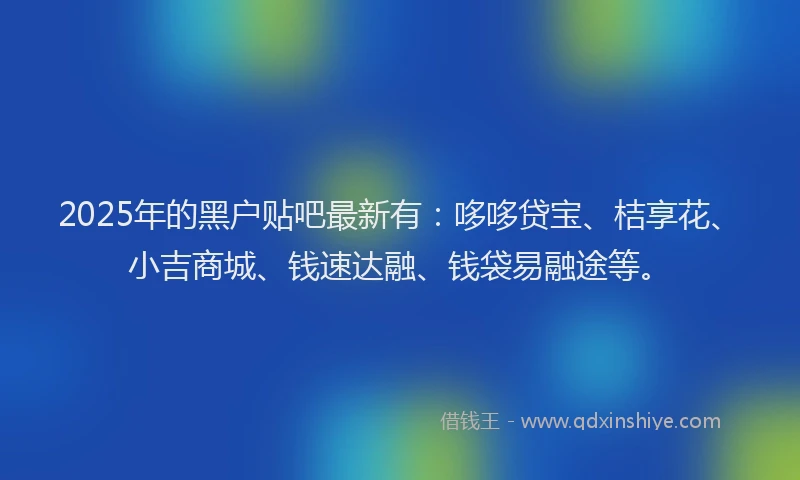 2025年的黑户贴吧最新有：哆哆贷宝、桔享花、小吉商城、钱速达融、钱袋易融途等。