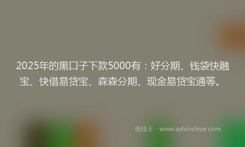 2025年的黑口子下款5000有：好分期、钱袋快融宝、快借易贷宝、森森分期、现金易贷宝通等。