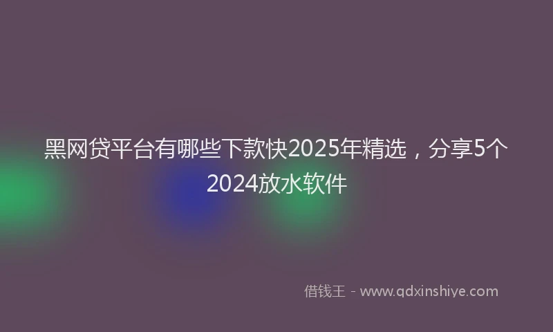黑网贷平台有哪些下款快2025年精选，分享5个2024放水软件