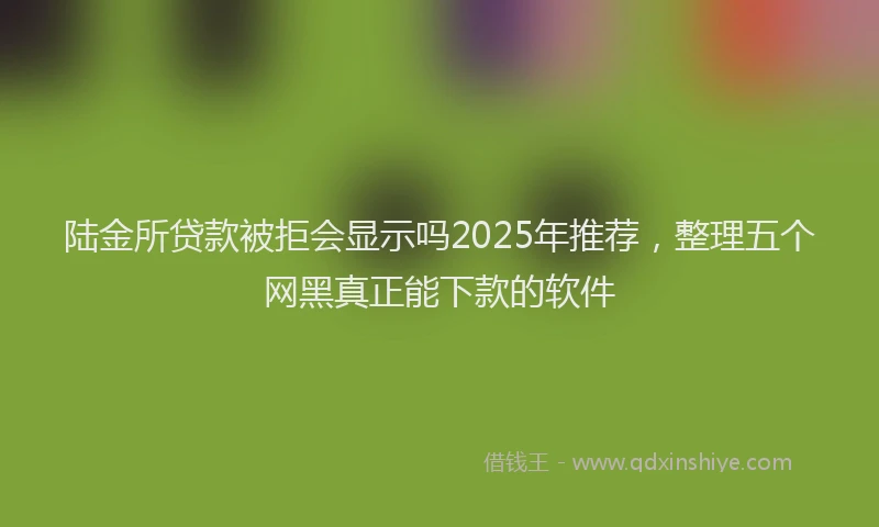 陆金所贷款被拒会显示吗2025年推荐，整理五个网黑真正能下款的软件