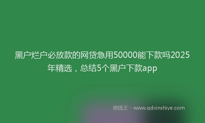黑户烂户必放款的网贷急用50000能下款吗2025年精选，总结5个黑户下款app