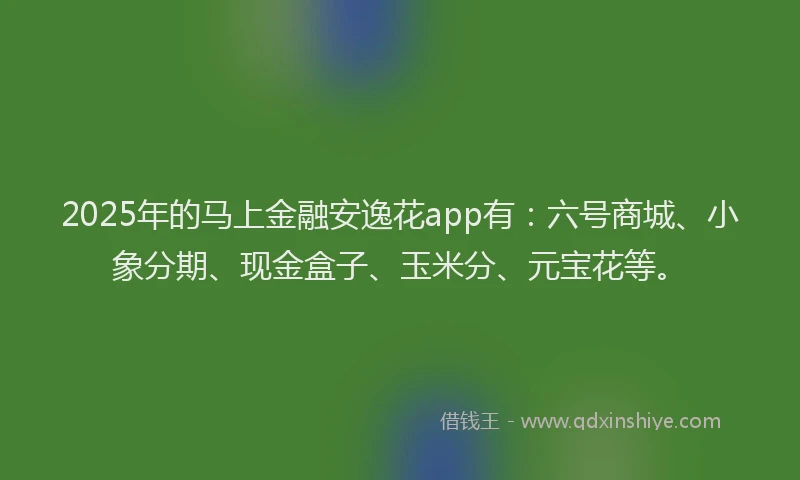 2025年的马上金融安逸花app有：六号商城、小象分期、现金盒子、玉米分、元宝花等。