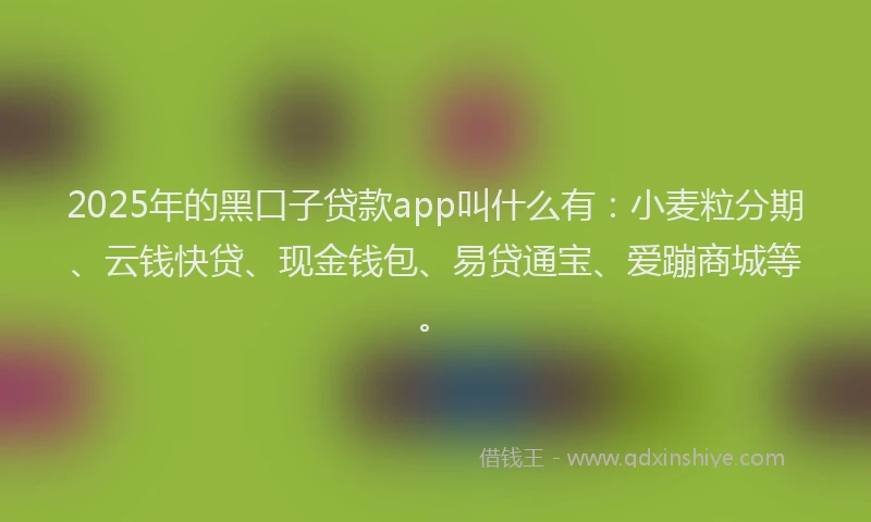 2025年的黑口子贷款app叫什么有：小麦粒分期、云钱快贷、现金钱包、易贷通宝、爱蹦商城等。
