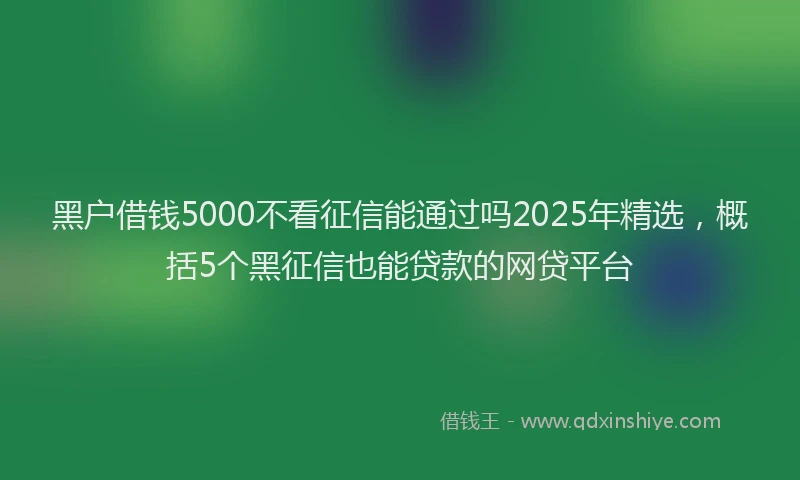 黑户借钱5000不看征信能通过吗2025年精选，概括5个黑征信也能贷款的网贷平台