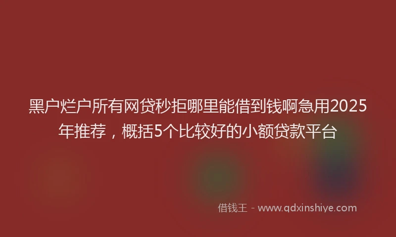 黑户烂户所有网贷秒拒哪里能借到钱啊急用2025年推荐，概括5个比较好的小额贷款平台