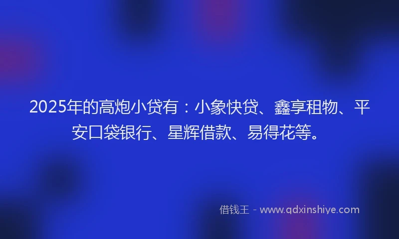 2025年的高炮小贷有：小象快贷、鑫享租物、平安口袋银行、星辉借款、易得花等。