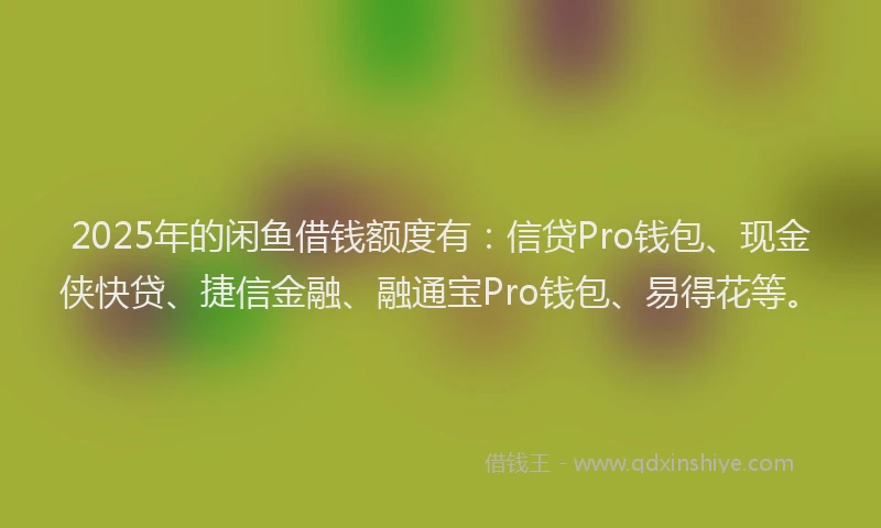 2025年的闲鱼借钱额度有：信贷Pro钱包、现金侠快贷、捷信金融、融通宝Pro钱包、易得花等。