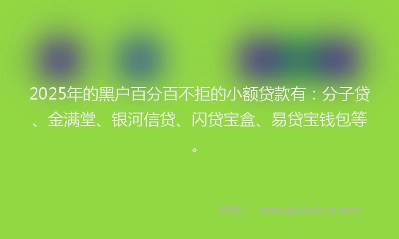 2025年的黑户百分百不拒的小额贷款有：分子贷、金满堂、银河信贷、闪贷宝盒、易贷宝钱包等。