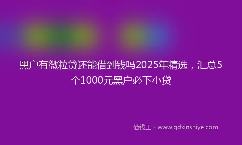 黑户有微粒贷还能借到钱吗2025年精选，汇总5个1000元黑户必下小贷