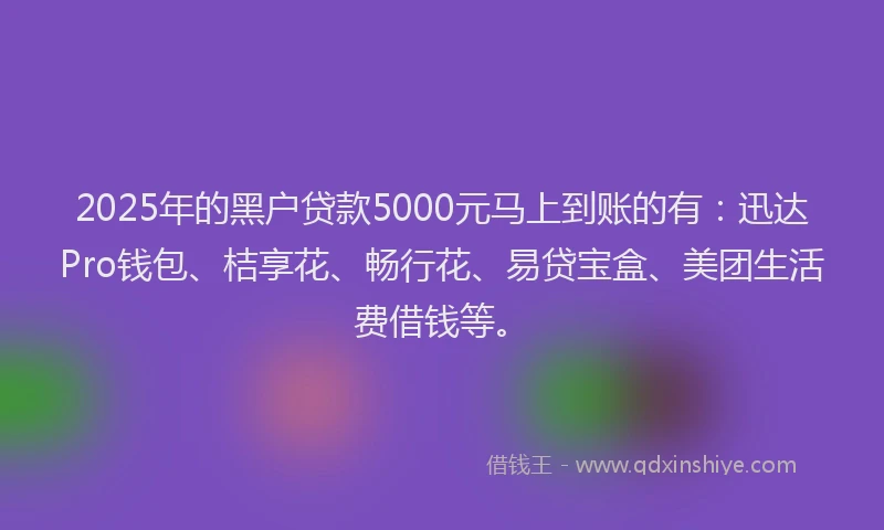 2025年的黑户贷款5000元马上到账的有：迅达Pro钱包、桔享花、畅行花、易贷宝盒、美团生活费借钱等。