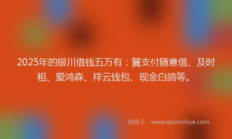 2025年的银川借钱五万有：翼支付随意借、及时租、爱鸿森、祥云钱包、现金白鸽等。