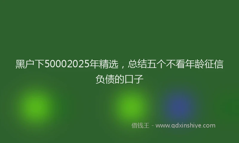 黑户下50002025年精选，总结五个不看年龄征信负债的口子
