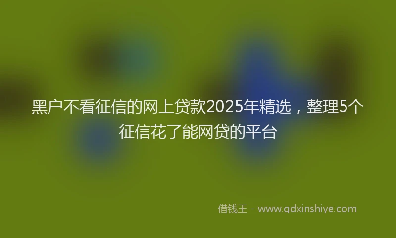 黑户不看征信的网上贷款2025年精选，整理5个征信花了能网贷的平台