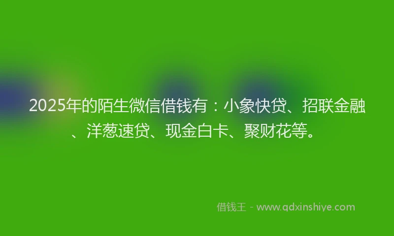 2025年的陌生微信借钱有：小象快贷、招联金融、洋葱速贷、现金白卡、聚财花等。