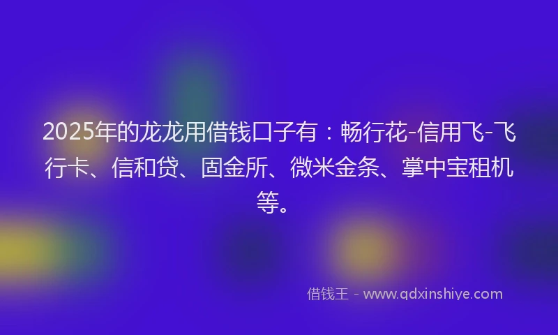 2025年的龙龙用借钱口子有：畅行花-信用飞-飞行卡、信和贷、固金所、微米金条、掌中宝租机等。