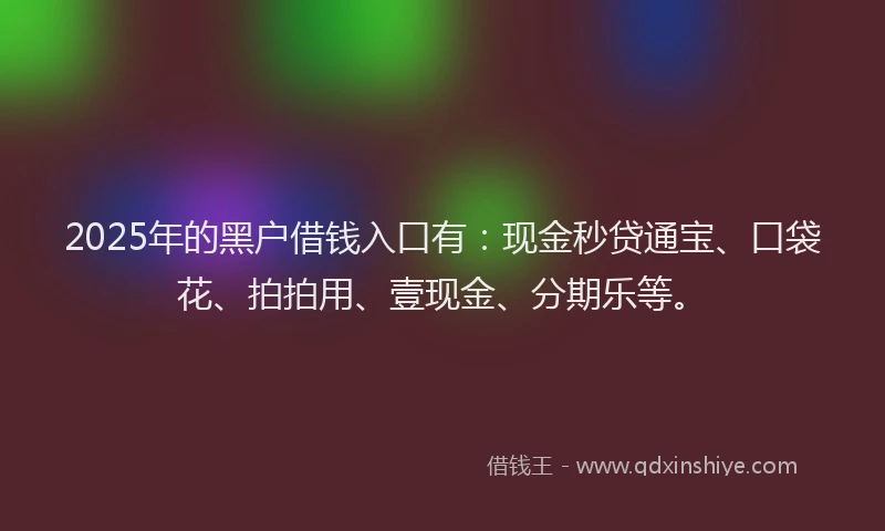 2025年的黑户借钱入口有：现金秒贷通宝、口袋花、拍拍用、壹现金、分期乐等。