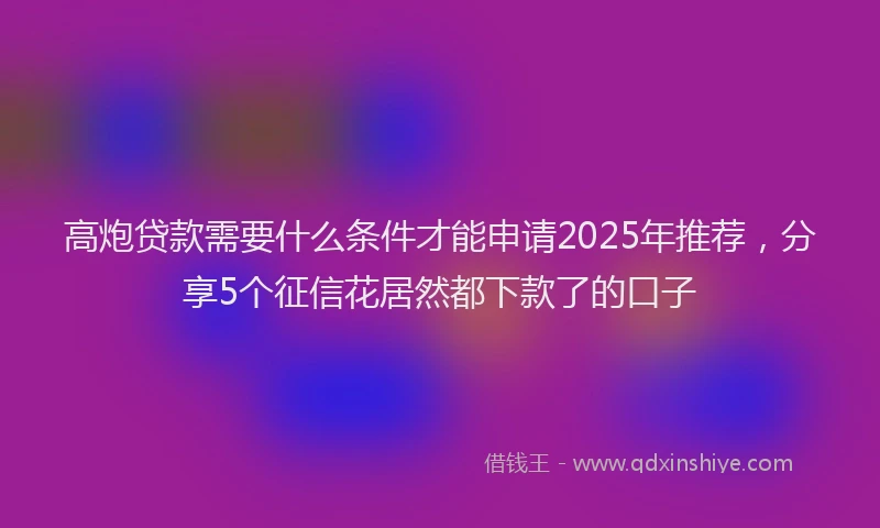 高炮贷款需要什么条件才能申请2025年推荐，分享5个征信花居然都下款了的口子